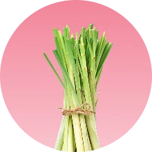 Zitronengras icon